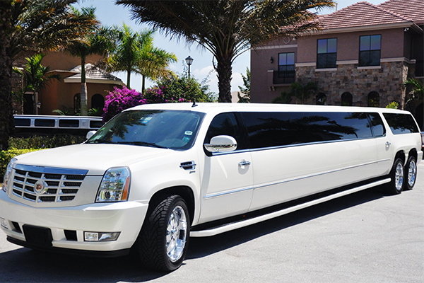 Orlando 20 Passenger Limo