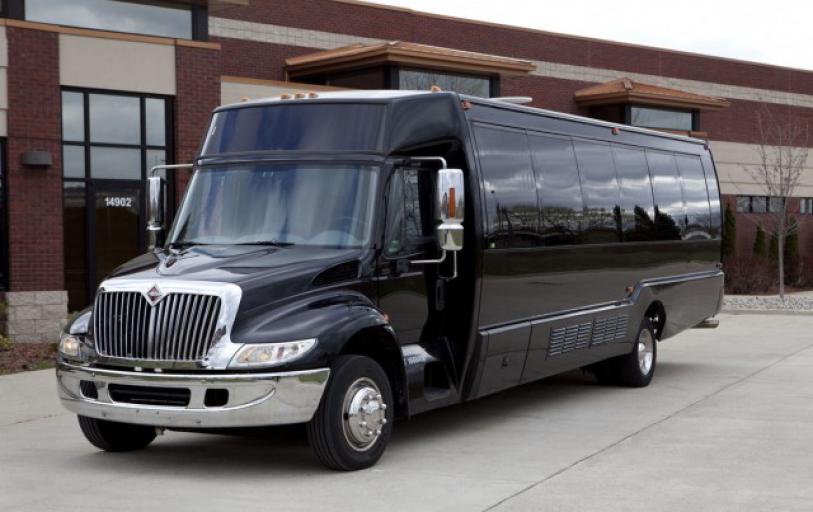 Orlando 20 Passenger Party Bus